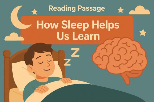 IELTS Reading: How sleep helps us learn