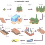 Hướng dẫn viết IELTS Writing Task 1 (Process) – “The production of a pencil”