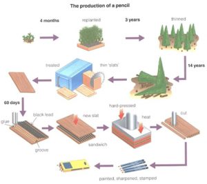 Hướng dẫn viết IELTS Writing Task 1 (Process) – “The production of a pencil”